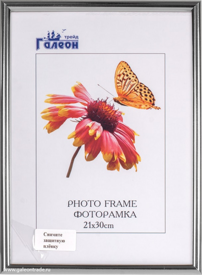Фоторамка 21*30 серебро