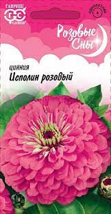 Портулак Феерия махровый Гавриш Ц
