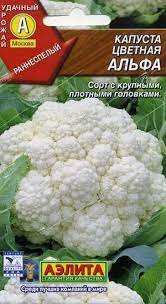 Капуста цветная Альфа