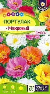Петуния Пикколино мини смесь